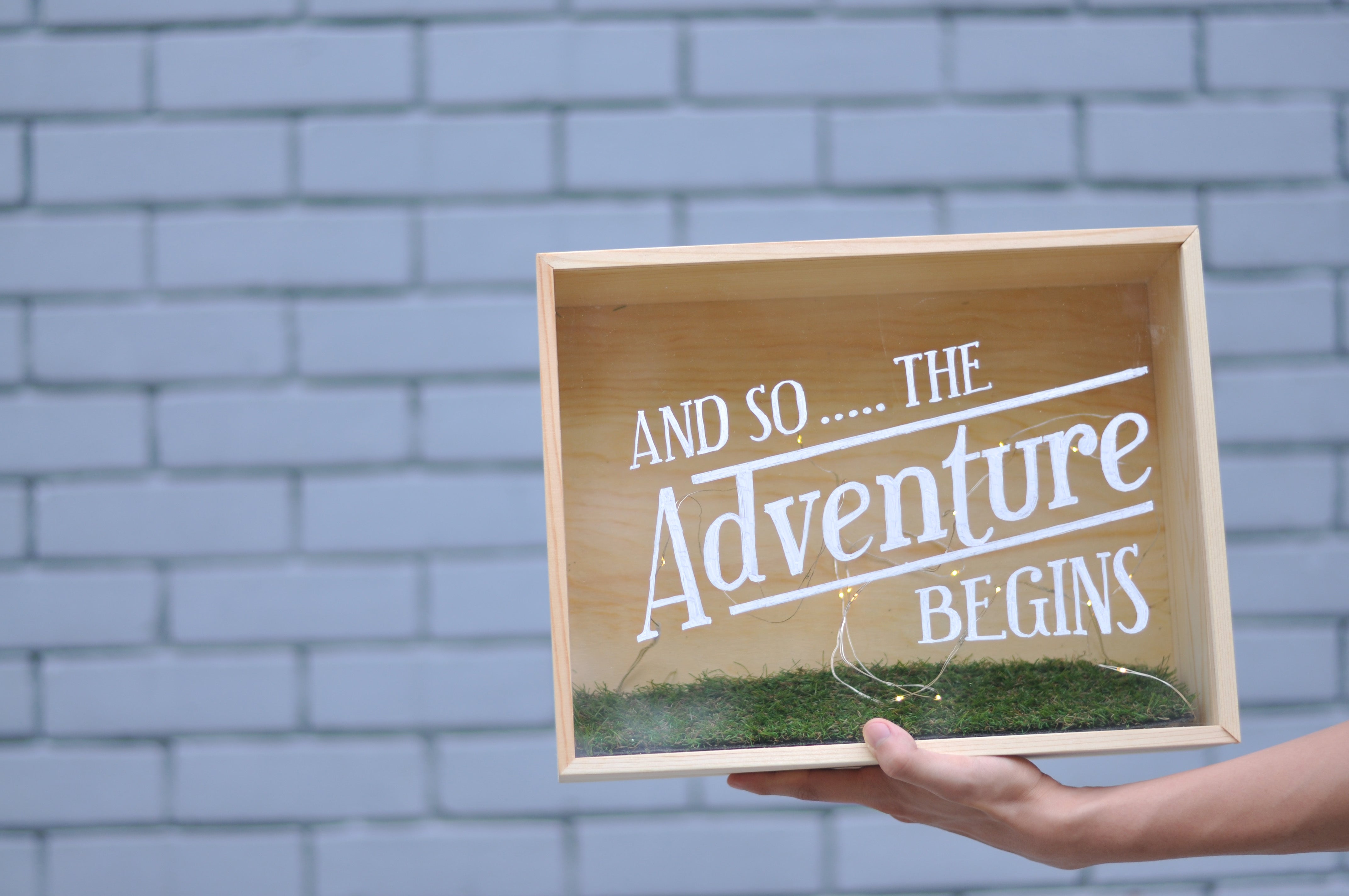 Shadow Box - And so... the adventure begins